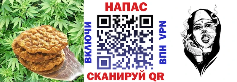 Canna-Cookies марихуана  Медвежьегорск 