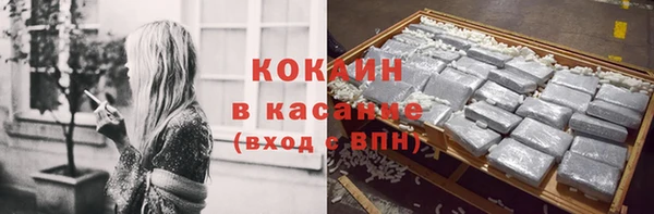 трава Коряжма