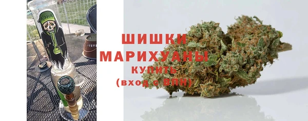 трава Коряжма
