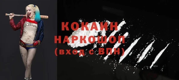 дмт Краснослободск