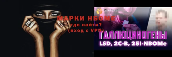 дмт Краснослободск