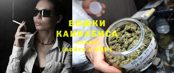 дмт Краснослободск