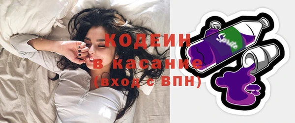 дмт Краснослободск