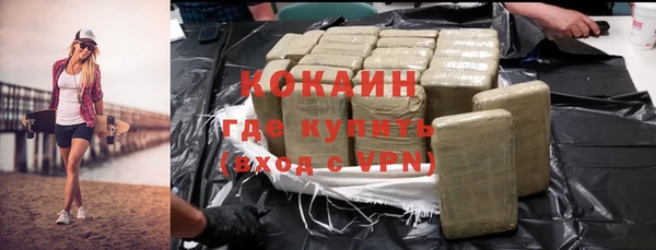 трава Коряжма